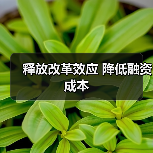 释放改革效应 降低融资成本（图4）