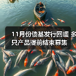 11月份债基发行回暖 多只产品提前结束募集（图3）