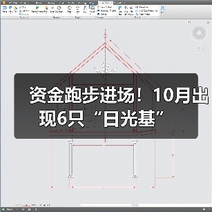 资金跑步进场!10月出现6只“日光基”(图2) 资金跑步进场!10月出现6只“日光基”(图2)