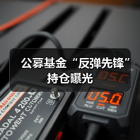 公募基金“反弹先锋”持仓曝光(图2) 公募基金“反弹先锋”持仓曝光(图2)