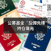 公募基金“反弹先锋”持仓曝光(图3) 公募基金“反弹先锋”持仓曝光(图3)
