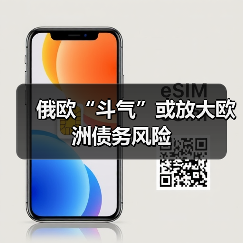 俄欧“斗气”或放大欧洲债务风险(图4) 俄欧“斗气”或放大欧洲债务风险(图4)