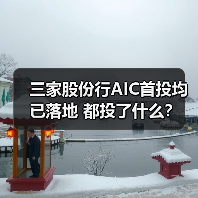 三家股份行AIC首投均已落地 都投了什么?(图4) 三家股份行AIC首投均已落地 都投了什么?(图4)
