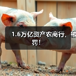 1.6万亿资产农商行,被罚!(图1) 1.6万亿资产农商行,被罚!(图1)