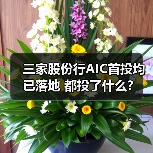 三家股份行AIC首投均已落地 都投了什么?(图3) 三家股份行AIC首投均已落地 都投了什么?(图3)