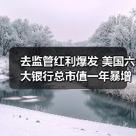 去监管红利爆发 美国六大银行总市值一年暴增6000亿美元（图3）