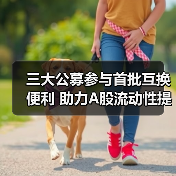 三大公募参与首批互换便利 助力A股流动性提升(图4) 三大公募参与首批互换便利 助力A股流动性提升(图4)