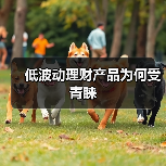 低波动理财产品为何受青睐(图2) 低波动理财产品为何受青睐(图2)