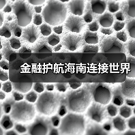 金融护航海南连接世界（图2）