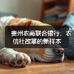 贵州农商联合银行，农信社改革的新样本（图2）