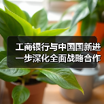 工商银行与中国国新进一步深化全面战略合作(图4) 工商银行与中国国新进一步深化全面战略合作(图4)
