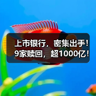 上市银行,密集出手!9家赎回,超1000亿!(图3) 上市银行,密集出手!9家赎回,超1000亿!(图3)