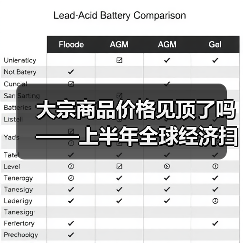 大宗商品价格见顶了吗——上半年全球经济扫描(图4) 大宗商品价格见顶了吗——上半年全球经济扫描(图4)