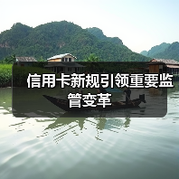 信用卡新规引领重要监管变革(图4) 信用卡新规引领重要监管变革(图4)