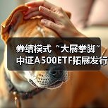 券结模式“大展拳脚” 中证A500ETF拓展发行新生态(图2) 券结模式“大展拳脚” 中证A500ETF拓展发行新生态(图2)