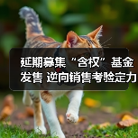 延期募集“含权”基金发售 逆向销售考验定力(图4) 延期募集“含权”基金发售 逆向销售考验定力(图4)