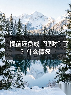 提前还贷成“理财”了?什么情况(图4) 提前还贷成“理财”了?什么情况(图4)