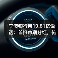 宁波银行用19.81亿说话：首推中期分红，传递稳健发展信号（图3）