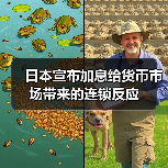 日本宣布加息给货币市场带来的连锁反应（图3）