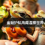 金融护航海南连接世界（图2）