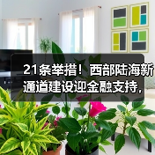 21条举措!西部陆海新通道建设迎金融支持,央行等多部门详解来了(图3) 21条举措!西部陆海新通道建设迎金融支持,央行等多部门详解来了(图3)