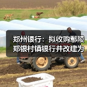 郑州银行:拟收购鄢陵郑银村镇银行并改建为分支机构(图3) 郑州银行:拟收购鄢陵郑银村镇银行并改建为分支机构(图3)