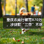 重庆农商行被罚870万，涉贷款“三查”不尽职等（图3）