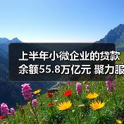 上半年小微企业的贷款余额55.8万亿元 聚力服务中小微融资需求(图3) 上半年小微企业的贷款余额55.8万亿元 聚力服务中小微融资需求(图3)