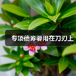 专项债券要用在刀刃上(图1) 专项债券要用在刀刃上(图1)