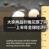 大宗商品价格见顶了吗——上半年全球经济扫描(图1) 大宗商品价格见顶了吗——上半年全球经济扫描(图1)