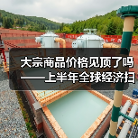 大宗商品价格见顶了吗——上半年全球经济扫描(图3) 大宗商品价格见顶了吗——上半年全球经济扫描(图3)