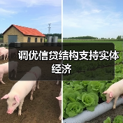 调优信贷结构支持实体经济(图1) 调优信贷结构支持实体经济(图1)