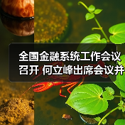 全国金融系统工作会议召开 何立峰出席会议并讲话（图4）