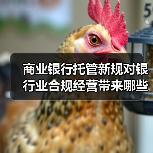 商业银行托管新规对银行业合规经营带来哪些新课题（图2）