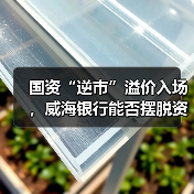 国资“逆市”溢价入场,威海银行能否摆脱资本“红线”危境(图4) 国资“逆市”溢价入场,威海银行能否摆脱资本“红线”危境(图4)
