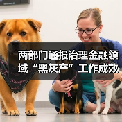两部门通报治理金融领域“黑灰产”工作成效(图2) 两部门通报治理金融领域“黑灰产”工作成效(图2)
