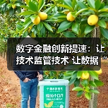 数字金融创新提速:让技术监管技术 让数据“可用不可见”(图1) 数字金融创新提速:让技术监管技术 让数据“可用不可见”(图1)
