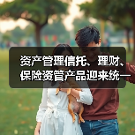 资产管理信托、理财、保险资管产品迎来统一信息披露监管制度(图1) 资产管理信托、理财、保险资管产品迎来统一信息披露监管制度(图1)
