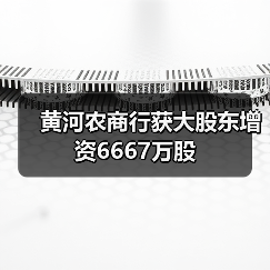 黄河农商行获大股东增资6667万股(图2) 黄河农商行获大股东增资6667万股(图2)