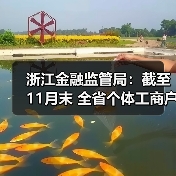 浙江金融监管局:截至11月末 全省个体工商户无还本续贷余额同比增长47.3%(图2) 浙江金融监管局:截至11月末 全省个体工商户无还本续贷余额同比增长47.3%(图2)