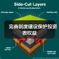 完善制度建设保护投资者权益(图2) 完善制度建设保护投资者权益(图2)