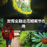 发挥金融逆周期调节作用(图3) 发挥金融逆周期调节作用(图3)