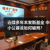 连续多年未发新基金 中小公募该如何破局?(图3) 连续多年未发新基金 中小公募该如何破局?(图3)