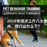 2026年经济工作八大重点，银行业怎么干？（图1）