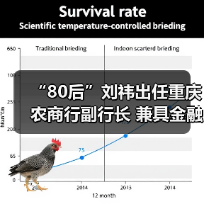 “80后”刘祎出任重庆农商行副行长 兼具金融与从政经验(图4) “80后”刘祎出任重庆农商行副行长 兼具金融与从政经验(图4)