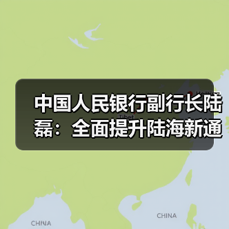 中国人民银行副行长陆磊:全面提升陆海新通道金融服务能级(图4) 中国人民银行副行长陆磊:全面提升陆海新通道金融服务能级(图4)