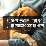 村镇银行加速“瘦身”,年内超200家退出市场(图1) 村镇银行加速“瘦身”,年内超200家退出市场(图1)
