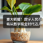 重大调整!数字人民币将从数字现金时代迈入数字存款货币时代(图2) 重大调整!数字人民币将从数字现金时代迈入数字存款货币时代(图2)