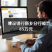 建设银行新乡分行被罚85万元(图4) 建设银行新乡分行被罚85万元(图4)