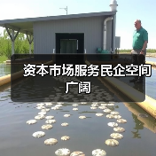 资本市场服务民企空间广阔(图4) 资本市场服务民企空间广阔(图4)